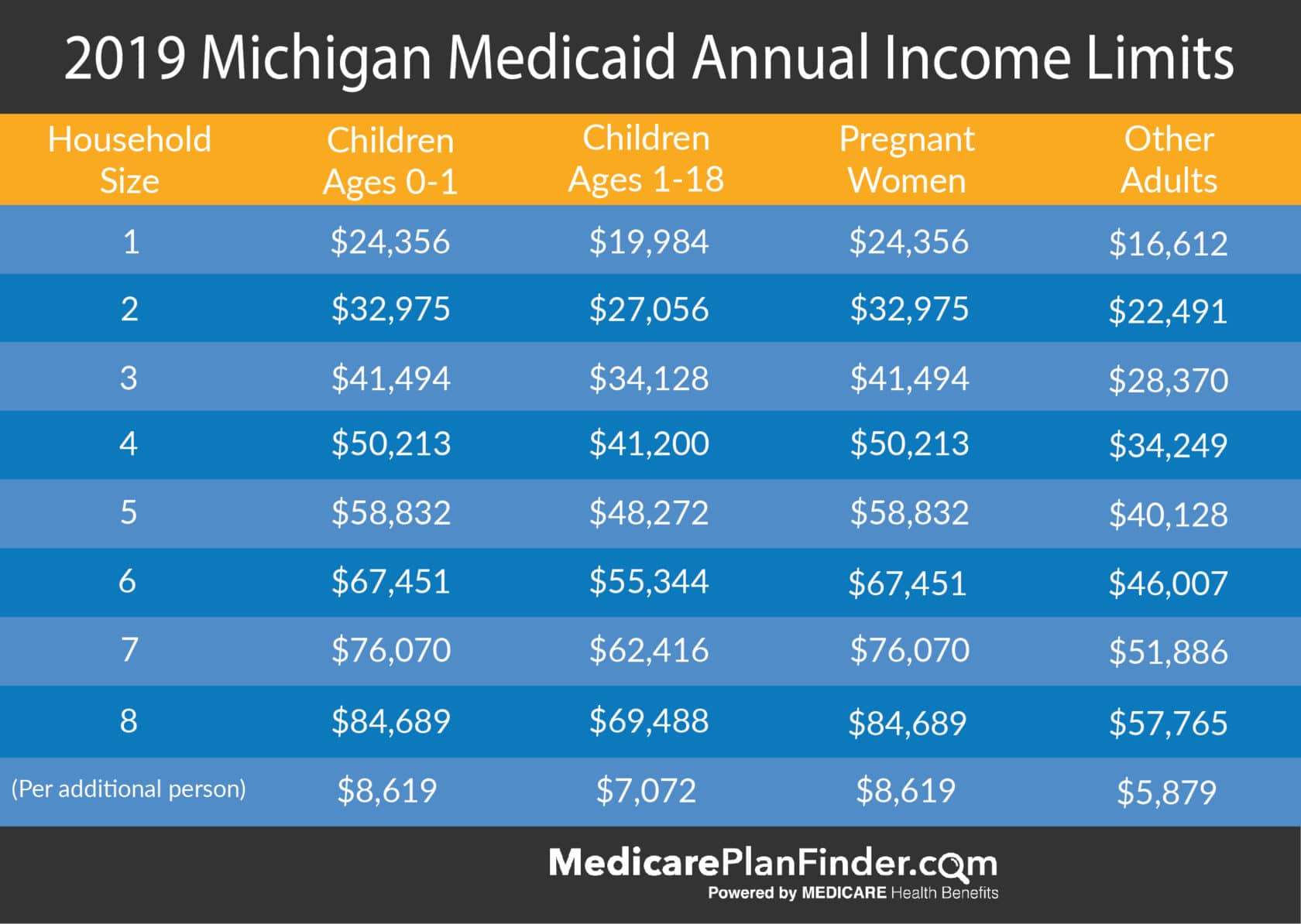 Michigan Medicaid Beginner